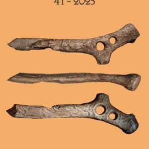 Archéo Situla 41