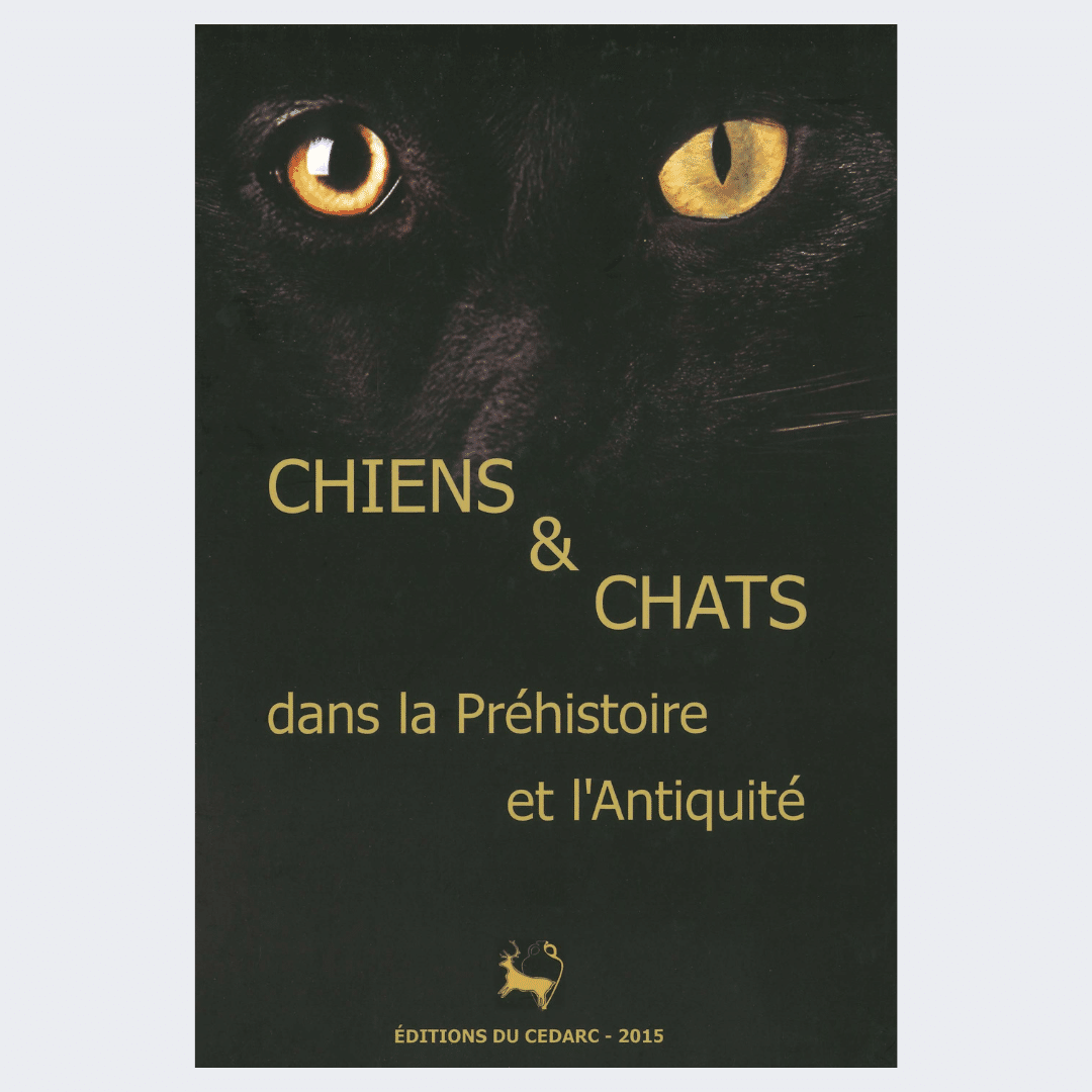 Dogs & Cats