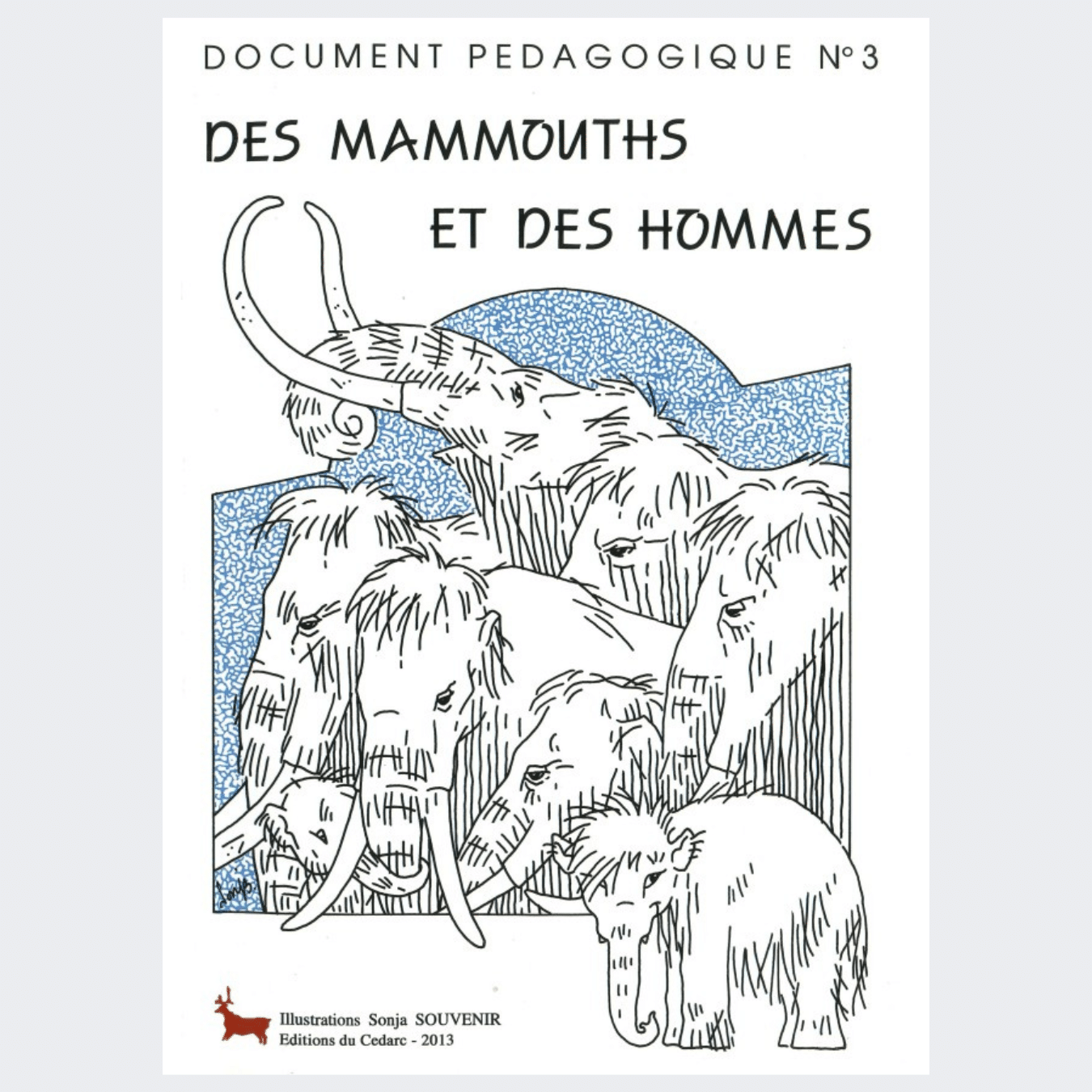 DOCUMENT PÉDAGOGIQUE N°3 - Des Mammouth et des Hommes (2013)