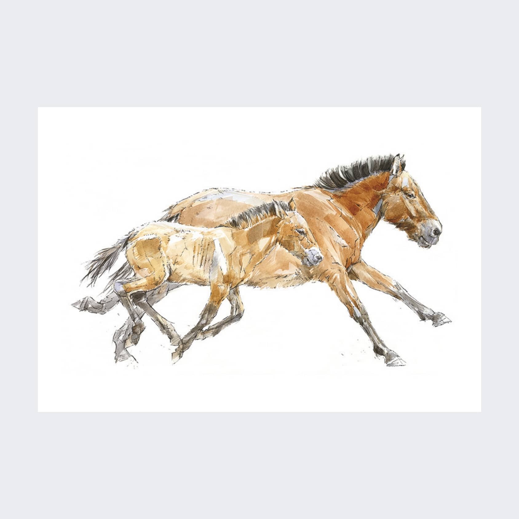 Magnet Cheval