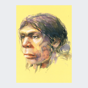 Carte Postale Homo neanderthalensis