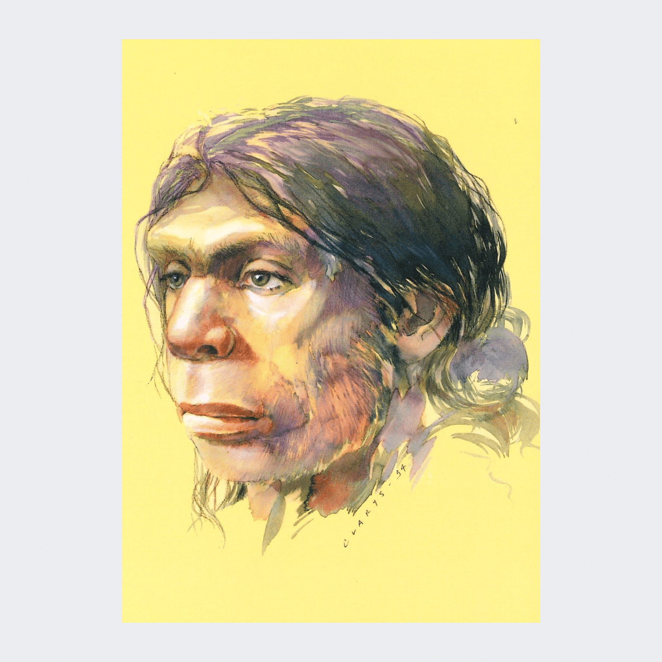 Carte Postale Homo neanderthalensis