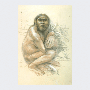 Carte postale Homo Habilis Olduvai