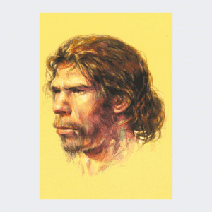 Carte postale Homo Sapiens Cromagnon