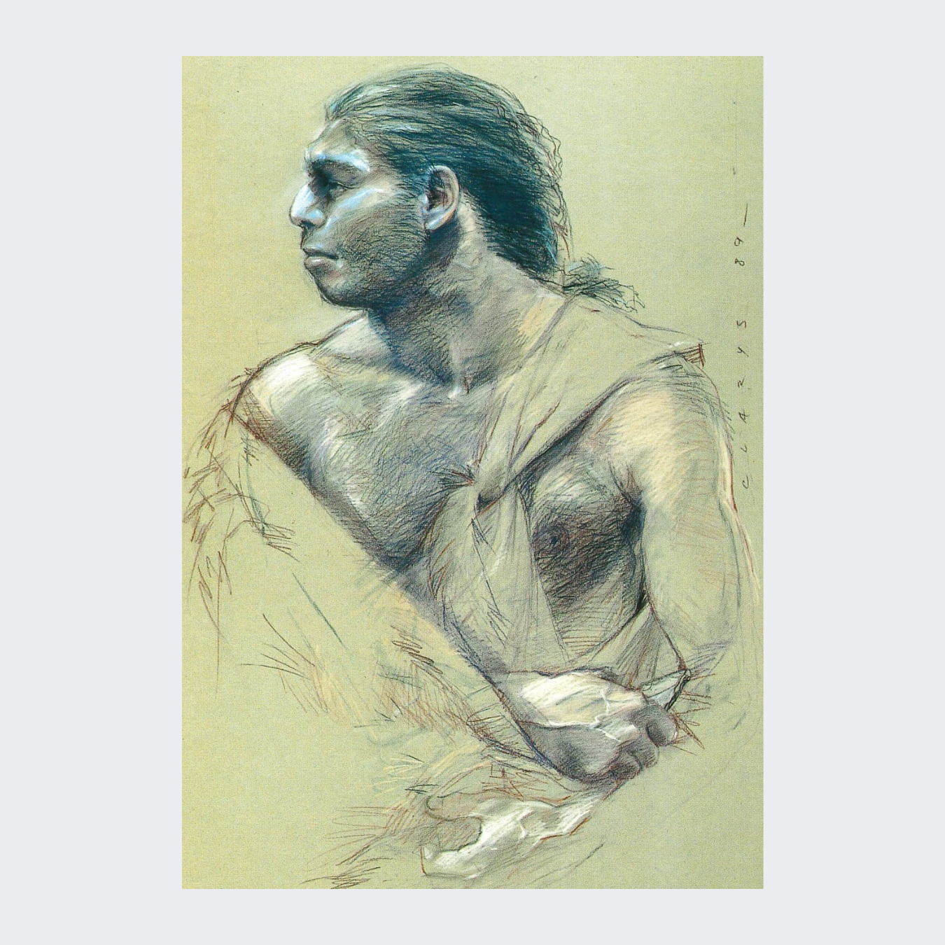 Carte postale Homo Sapiens homme
