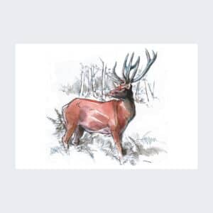 Magnet Cerf élaphe