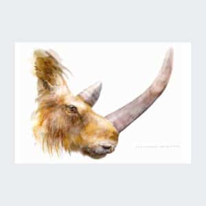 Magnet Tête de rhinocéros